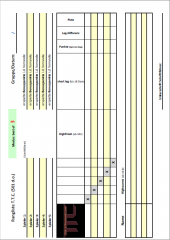 Dartsspiel Rangliste TTC Finalrunde